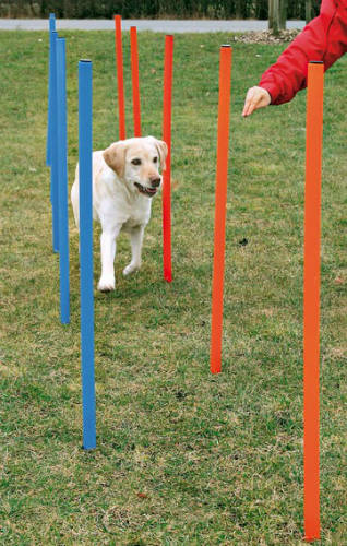 trixie 3206 Dog Activity játék Agility szlalom 12db 115x3cm