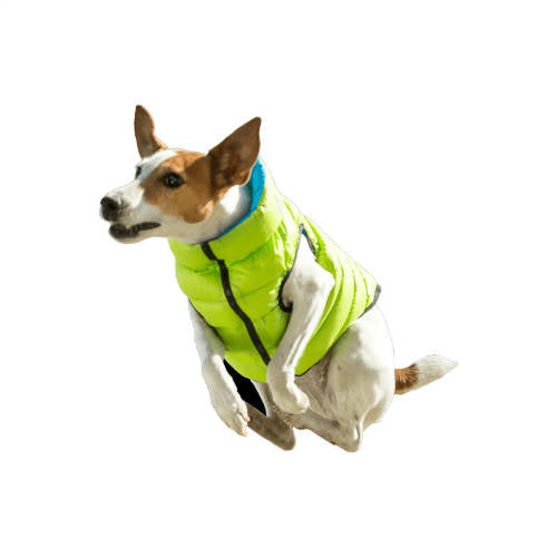 AiryVest kutyaruha kifordítható, XS 22, zöld-kék