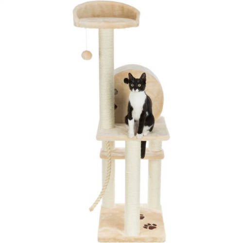 Trixie Salamanca Scratching Post - macskabútor (bézs) 40x50/138cm