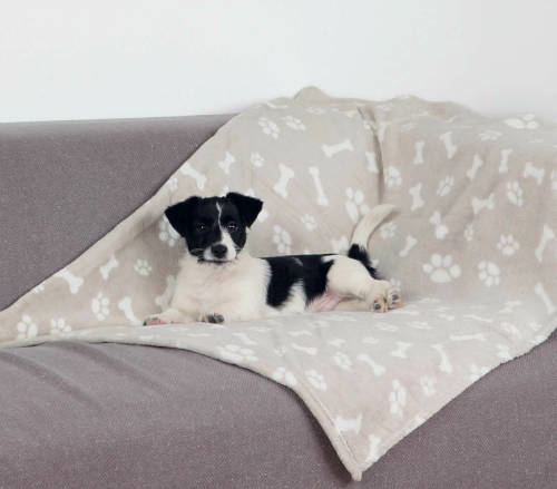 Trixie Kenny Blanket - takaró (bézs,mintás) macskák részére (100x75cm)