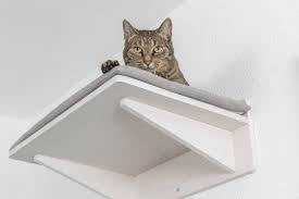 Trixie Platform for Wall Mounting - falraszerelhető párnázott felület (fehér) 50x17,5x36,5cm
