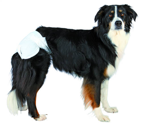 Trixie Diapers for Female Dogs - pelenka nőstény kutyák részére  (XS-S/12db)