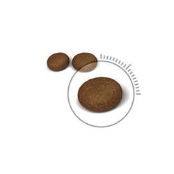 Royal Canin Feline Adul (Hair & Skin) - Teljesértékű eledel macskák részére(400g)